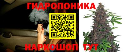 прущая мука Нягань