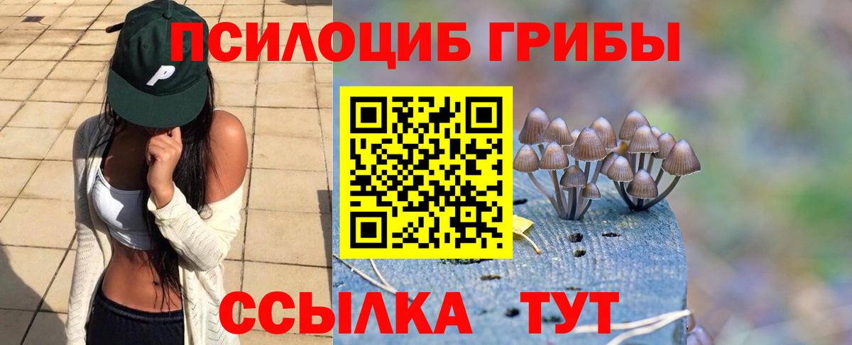 Псилоцибиновые грибы мухоморы Медногорск